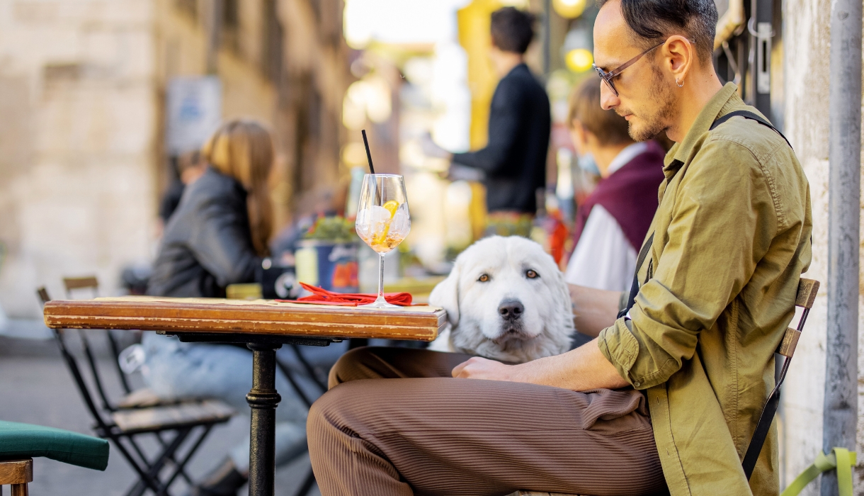 Dog-Friendly Restaurants in Salt Lake City UT Image by RossHelen