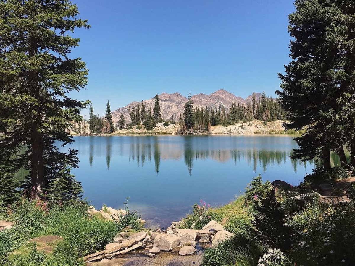 red pine lake trail, red pine lake trail utah, red pine lake trail trails, red pine lake, red pine lake utah, red pine lake trail, red pine lake Salt lake city