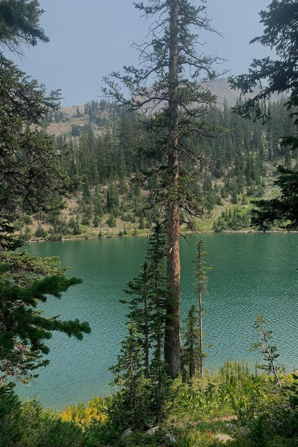 red pine lake trail, red pine lake trail utah, red pine lake trail trails, red pine lake, red pine lake utah, red pine lake trail, red pine lake Salt lake city