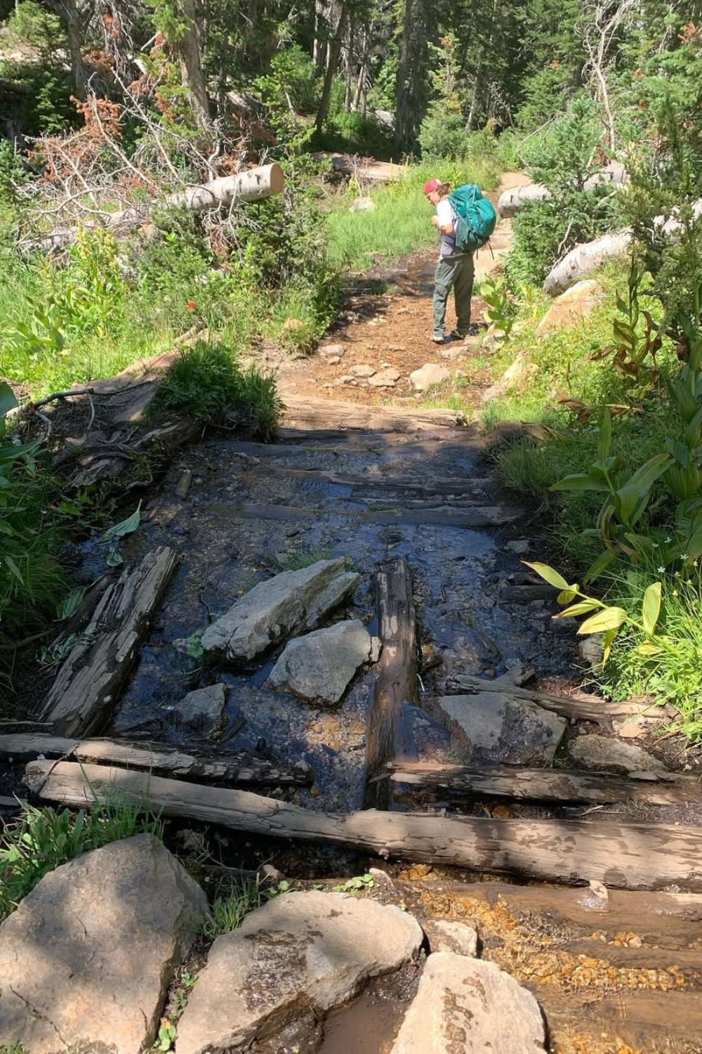 red pine lake trail, red pine lake trail utah, red pine lake trail trails, red pine lake, red pine lake utah, red pine lake trail, red pine lake Salt lake city